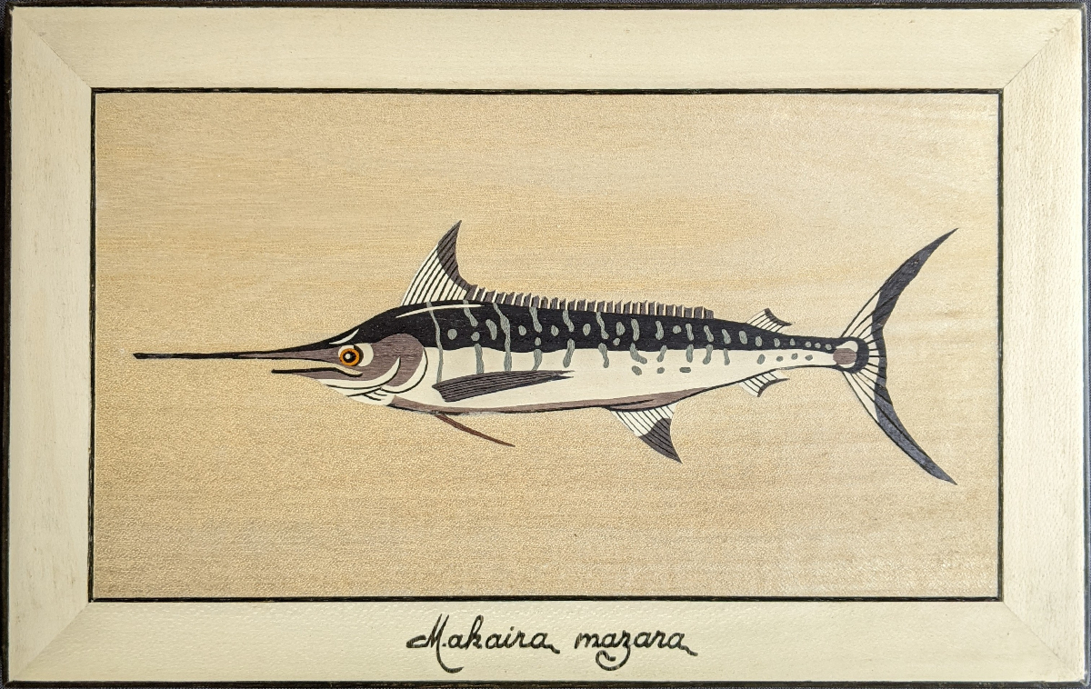 Poisson - Makaira Mazara