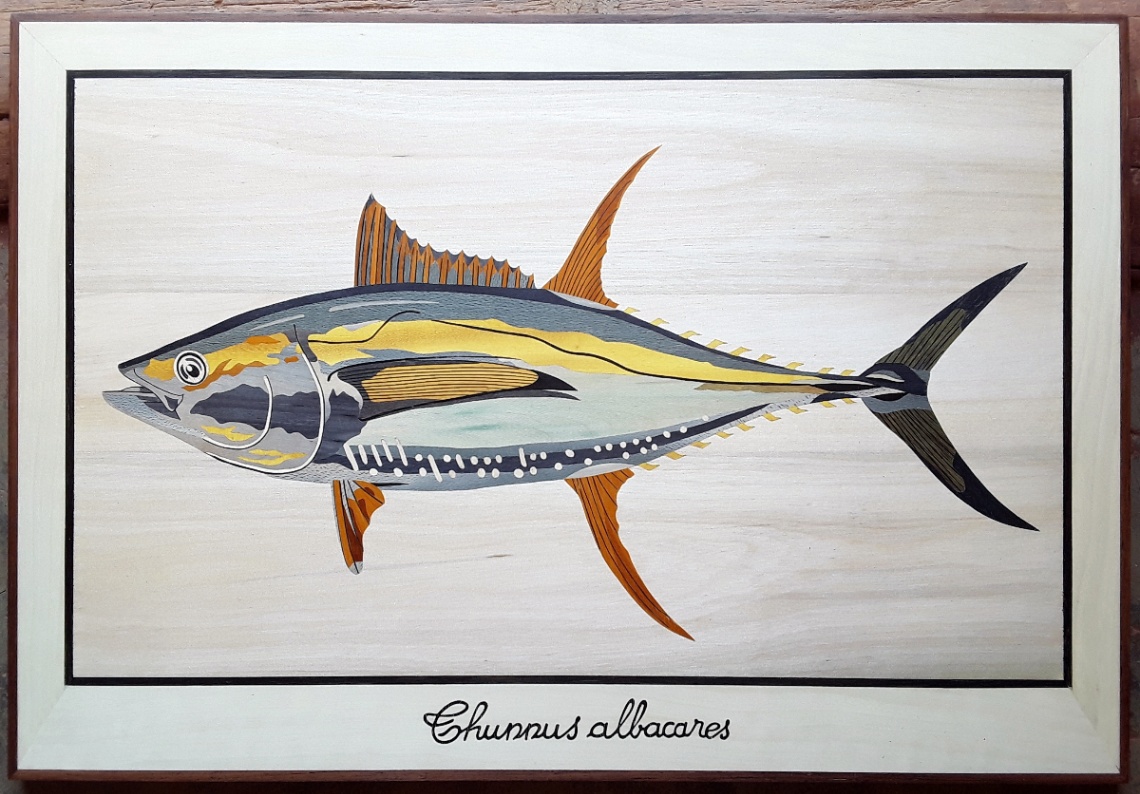 Poisson - Thunnus albacares